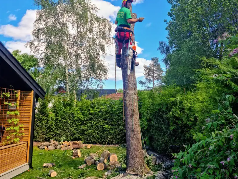 Trefeller på jobb