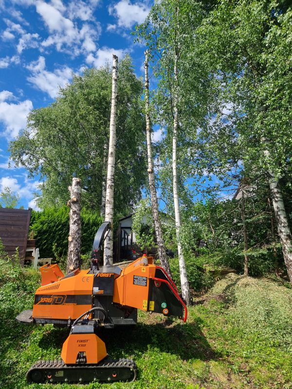 Först XR8 flishugger i hage under trefelling, MR Trefelling Asker og Hurum