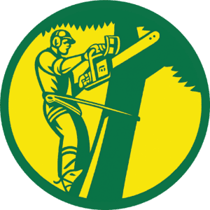 Profesjonell taktekker som jobber med tak, takarbeid og takrenovering i Norge.