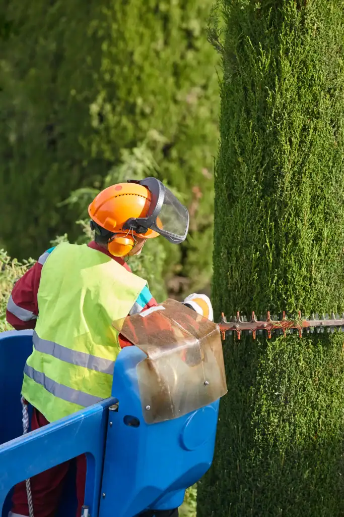 Hekkestyling og beskjæring med høy kvalitet for pent hagen nivåegenskap.