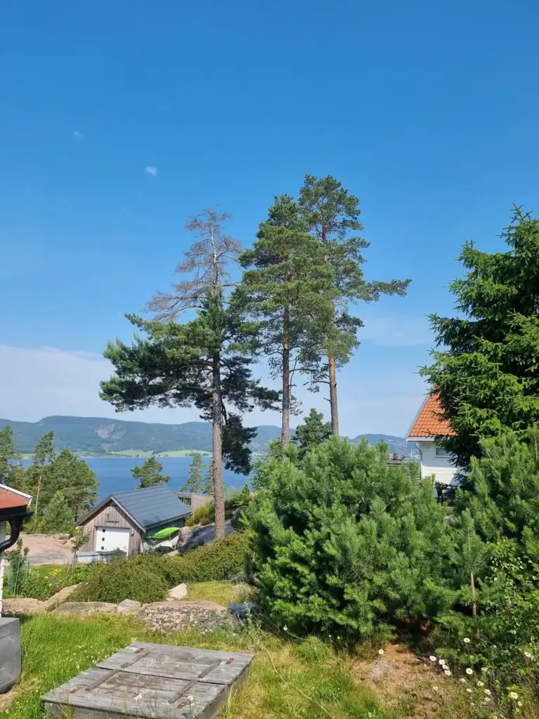 Bli synlig med en ny profesjonell nettside for din bedrift.