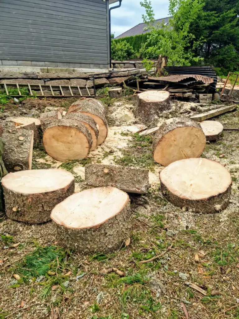 Effektiv og trygg trepleie for innkjørsel og hage.